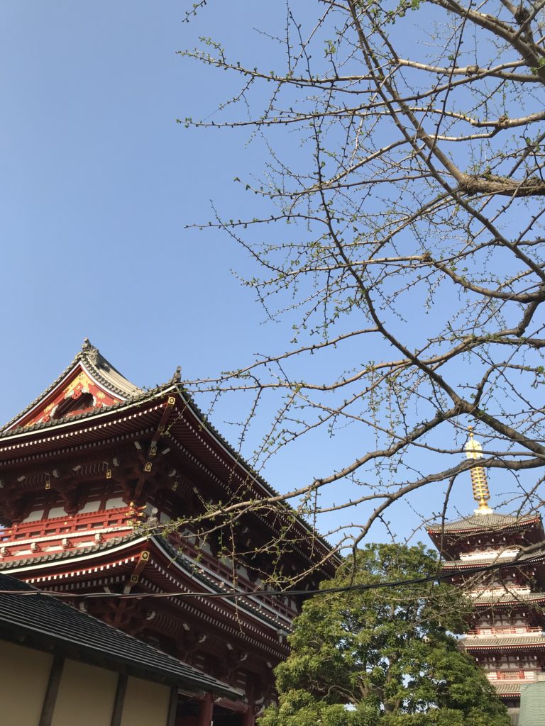 浅草寺宝蔵門と五重塔
